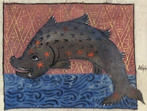Constellation of Delphin British Library 1490