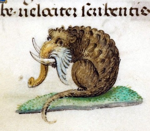 England and Medieval manuscript 14