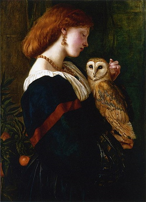 Il Barbagianni The Owl by Valentine Cameron Prinsep 1863