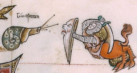 hero-snail-knight