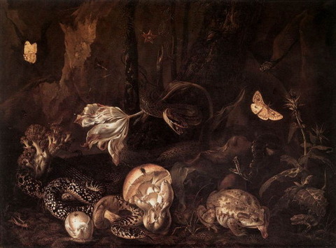 Otto Marseus van Schrieck Stilleben Insekten Amphibien 1662