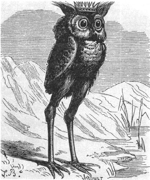 Stolas