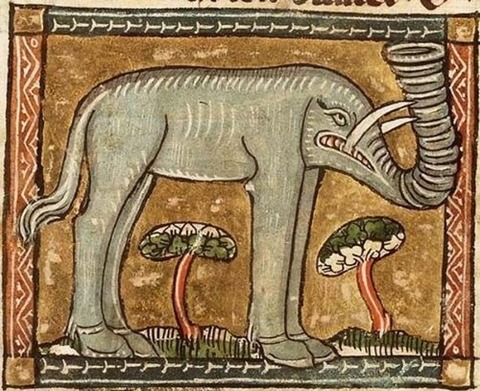 Middle Ages elephants 9