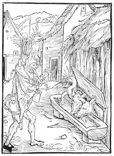 Dürer 2