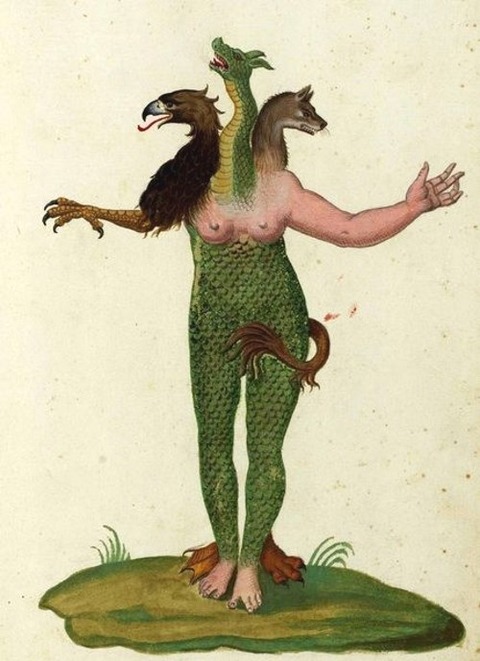 Ulisse Aldrovandi 11
