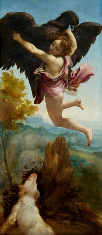 Antonio da Correggio  Abduction  Ganymede 1520-40