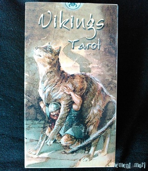 viking1