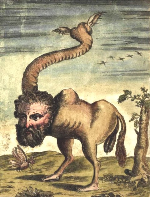 Ulisse Aldrovandi 4