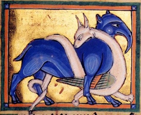 Middle Ages elephants 13