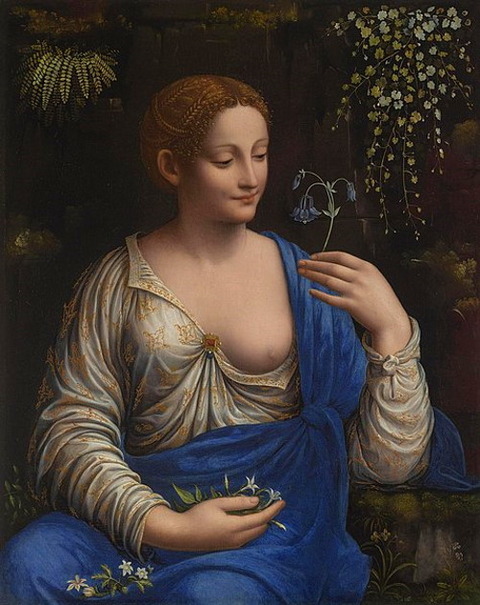 Francesco Melzi 1520