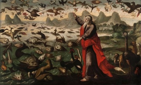 The Creation Of The Birds And Fish by Flemish School