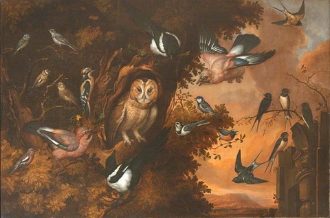 Francis Barlow 1626-1704 An Owl Being Mobbed by Other Birds