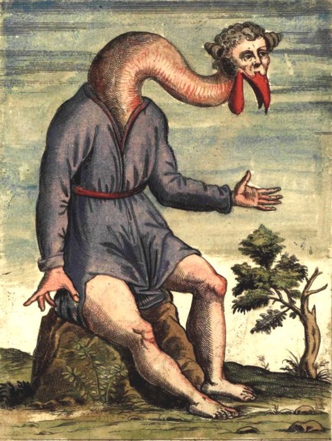 Ulisse Aldrovandi 2