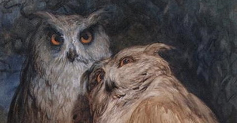 Two Owls Gustave Dore -