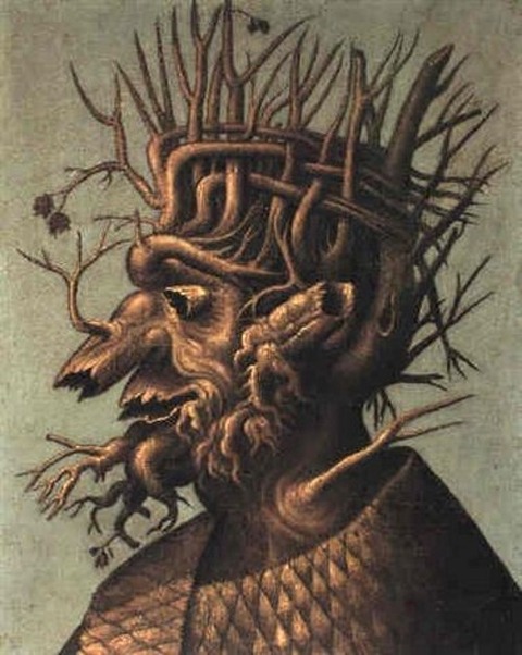 Giuseppe Arcimboldo follower