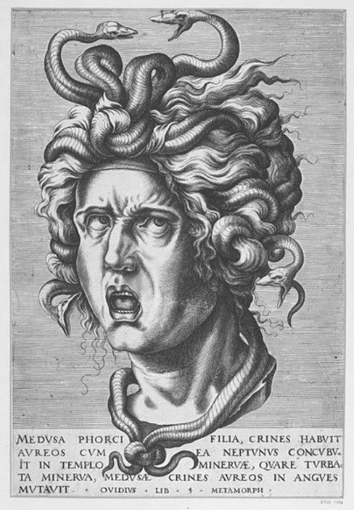 ギリシャ神話のメデューサの絵画12点 美を誇った女は怪物となり 首を斬られる メメント モリ 西洋美術の謎と闇