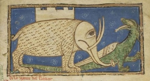 Middle Ages elephants 4