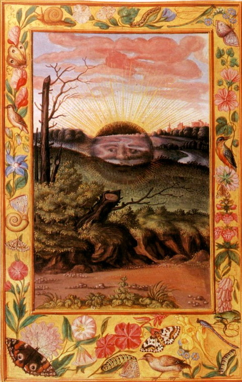 Splendor Solis 11