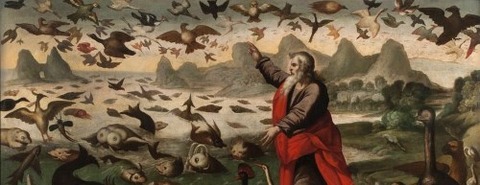 The Creation Of The Birds And Fish by Flemish School -