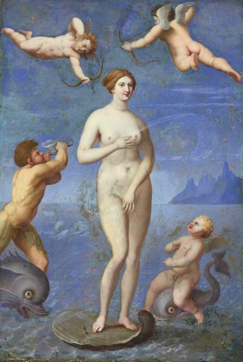 Florentine School, late 16th