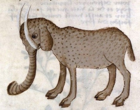Middle Ages elephants 10