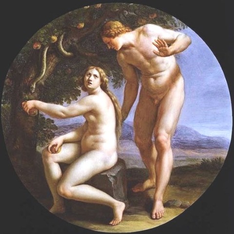 Italian 15781649