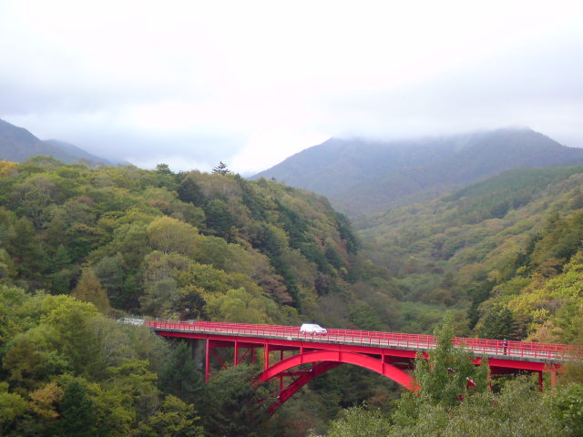 イメージ 5