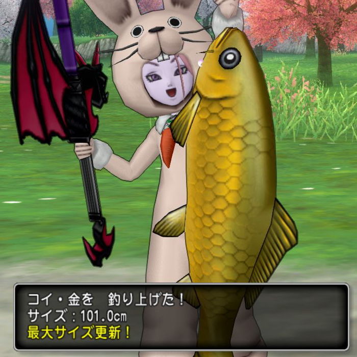 さかなぶくろを拡張しましょう Dq10覚え書き さかなぶくろを拡張しましょう Dq10覚え書き