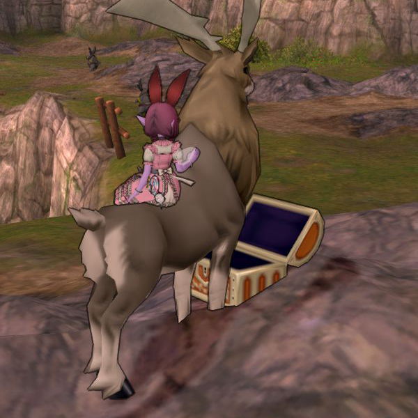 ミラクルブーストの宝珠がほしいんです Dq10覚え書き