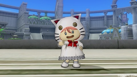 白ネコプク
