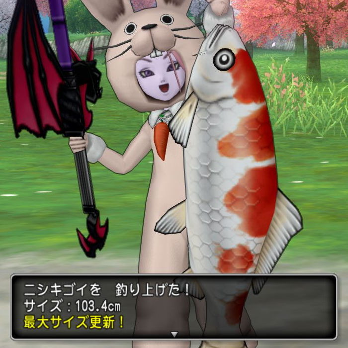 さかなぶくろを拡張しましょう Dq10覚え書き さかなぶくろを拡張しましょう Dq10覚え書き