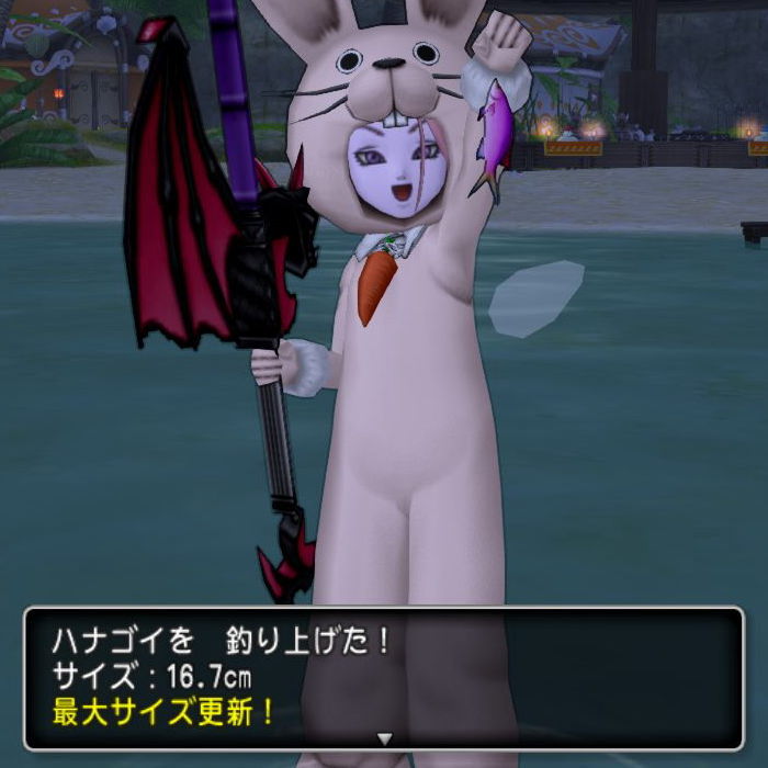 さかなぶくろを拡張しましょう Dq10覚え書き さかなぶくろを拡張しましょう Dq10覚え書き