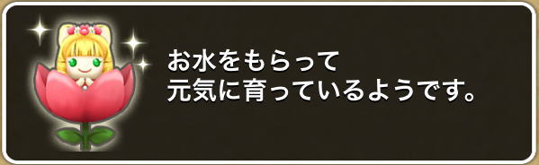 プク姫様つきの畑 Dq10覚え書き プク姫様つきの畑 Dq10覚え書き