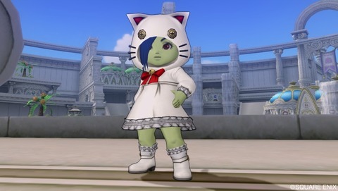 白ネコドワ