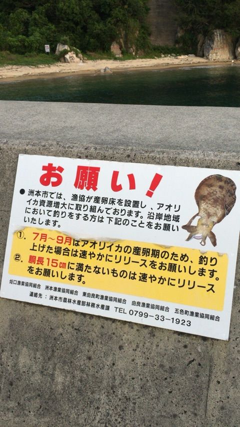 淡路島 洲本 炬口漁港でアジング 裏京都探偵団 淡路島 洲本 炬口漁港でアジング 裏京都探偵団