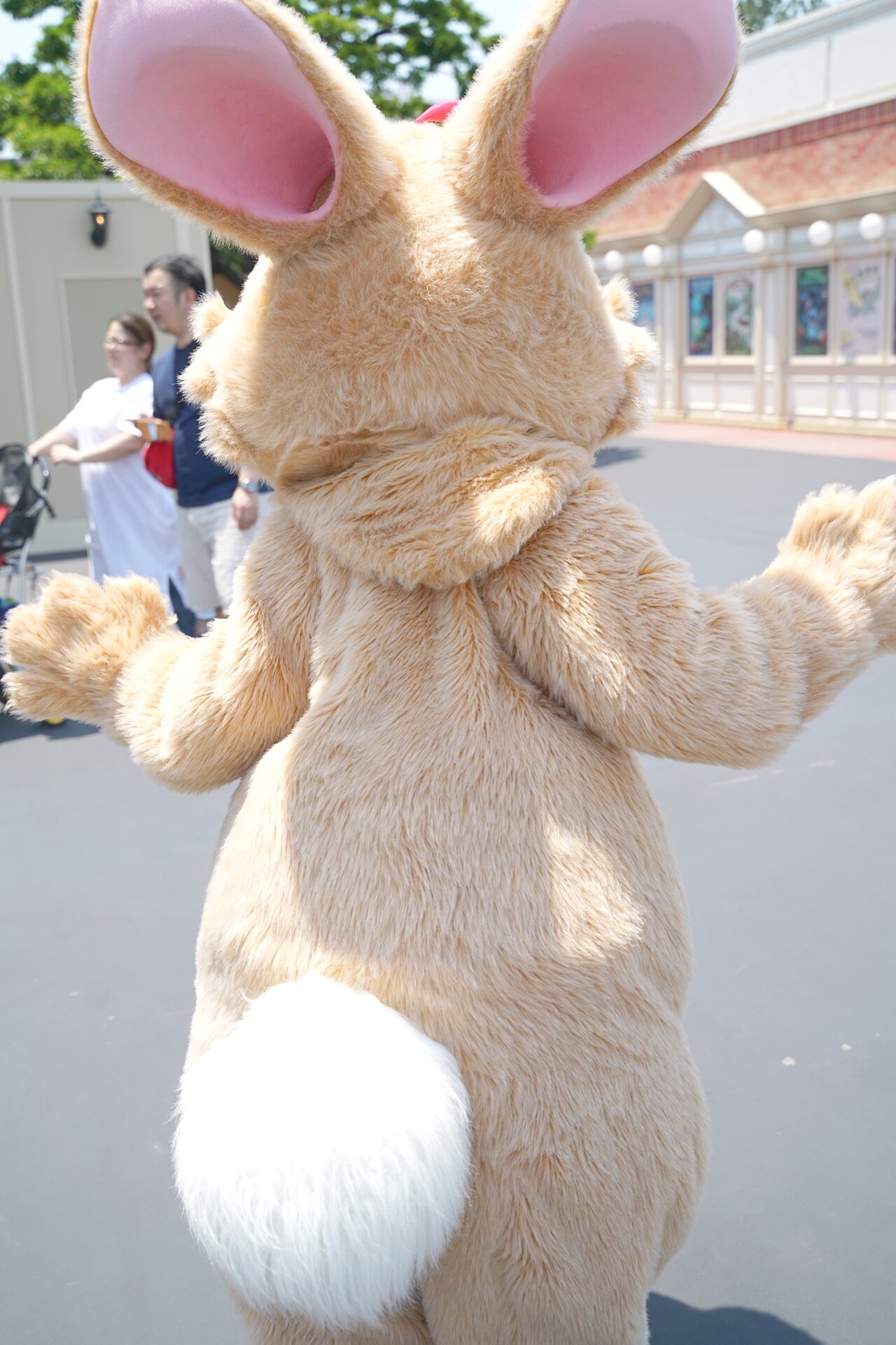 イマジニングの写真集 真面目にレビュー Rabbit In Dawn イマジニングの写真集 真面目にレビュー Rabbit In Dawn