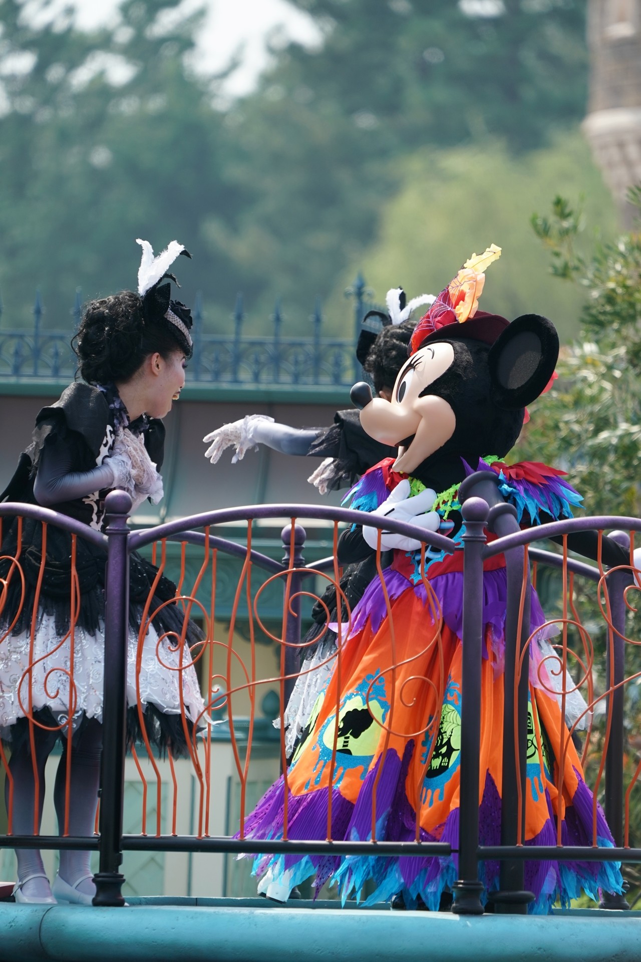Rabbit In Dawn スプブ