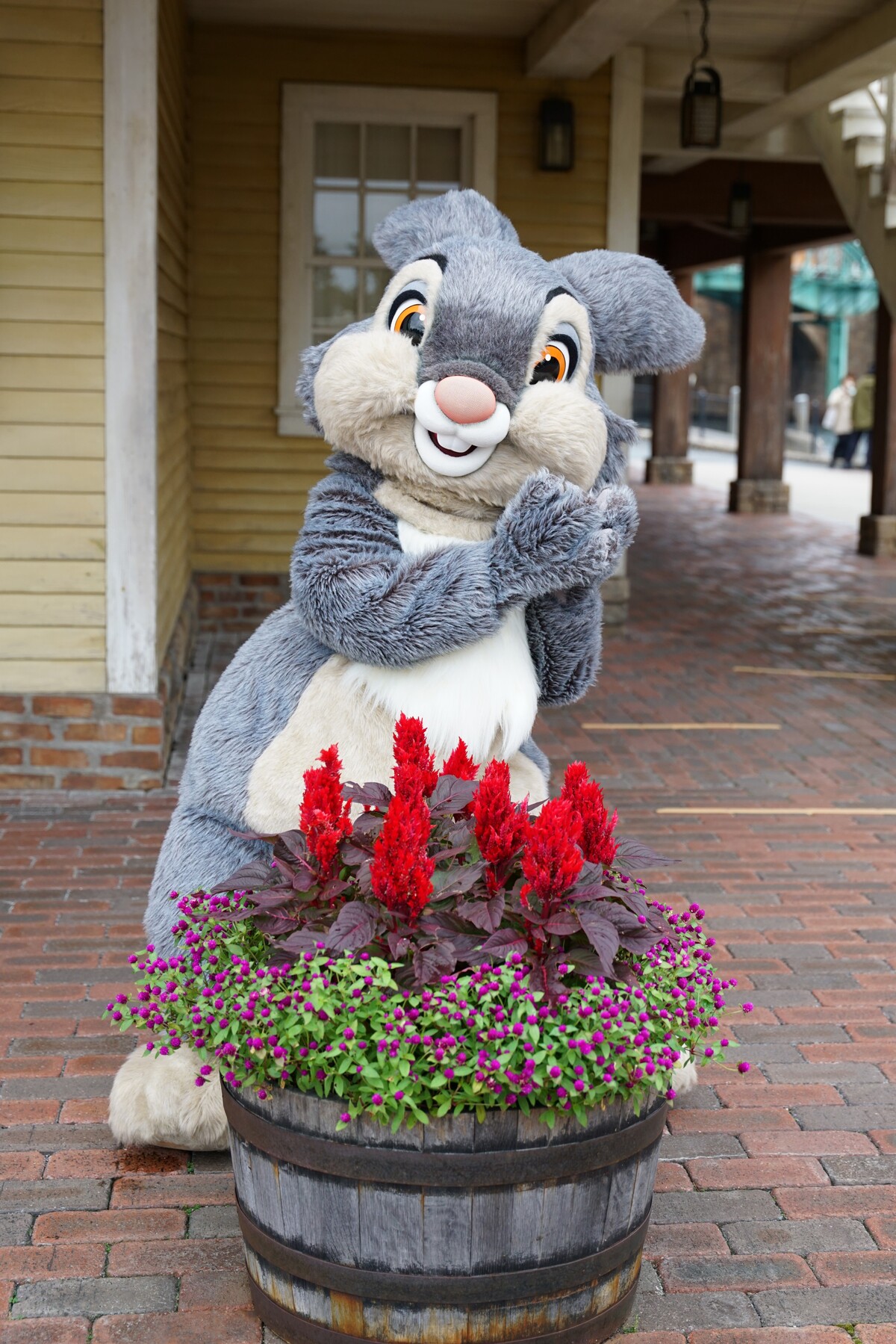 TAMRON 35-150mm F/2-2.8 Di III VXD(A058) レビュー : rabbit in dawn