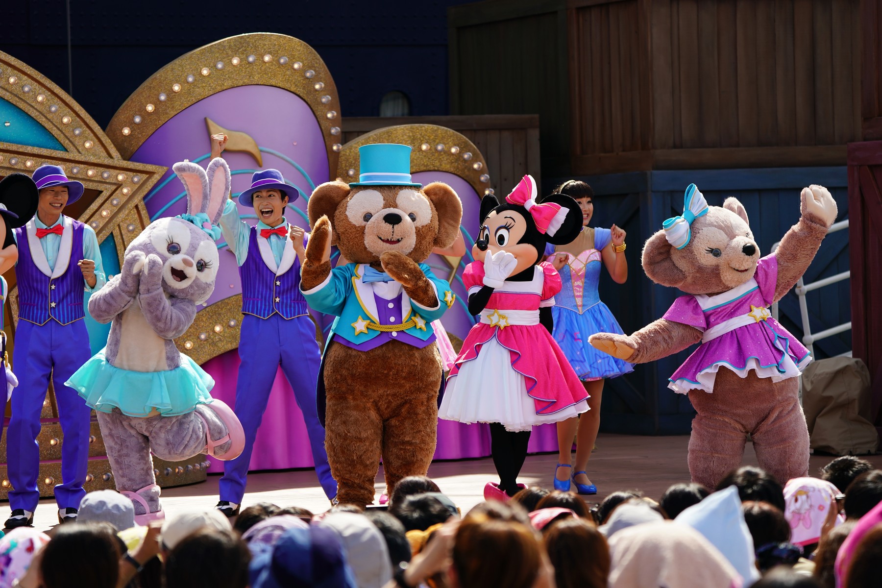 いよいよグリーティング なステップトゥシャイン Rabbit In Dawn いよいよグリーティング なステップトゥシャイン Rabbit In Dawn