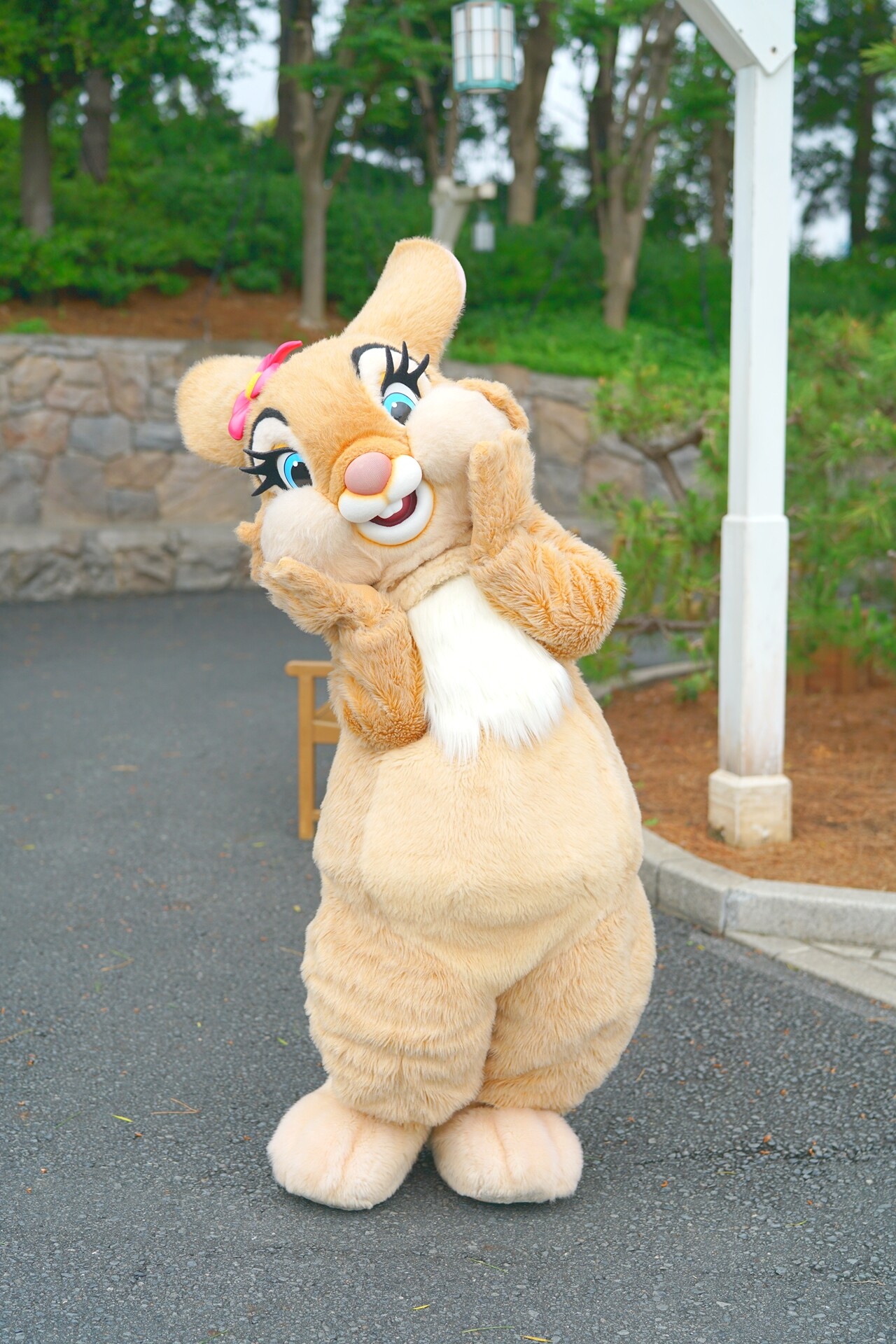 グッズが買えるかの憂慮はしたくない Rabbit In Dawn グッズが買えるかの憂慮はしたくない Rabbit In Dawn