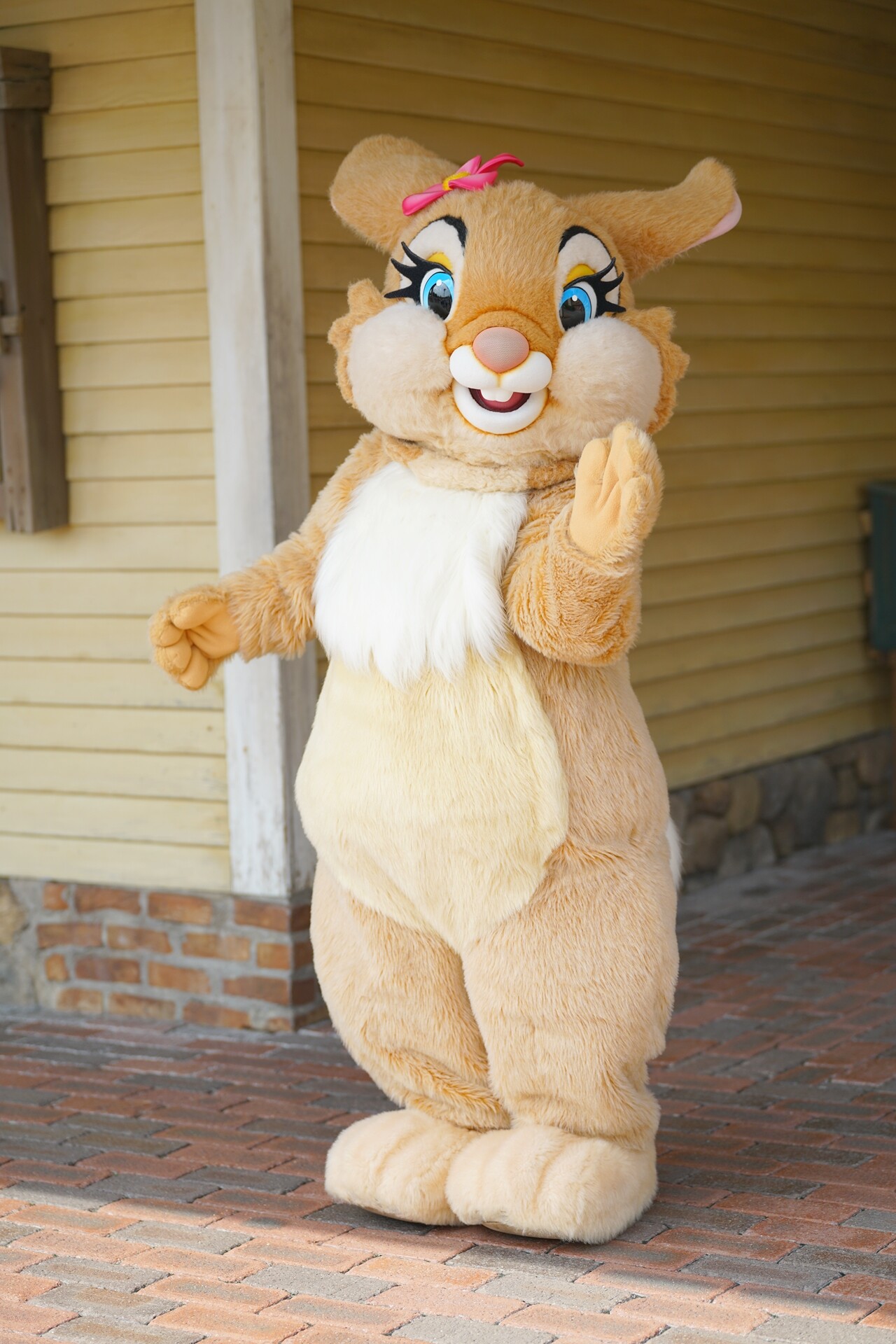 お盆は空いてる Rabbit In Dawn