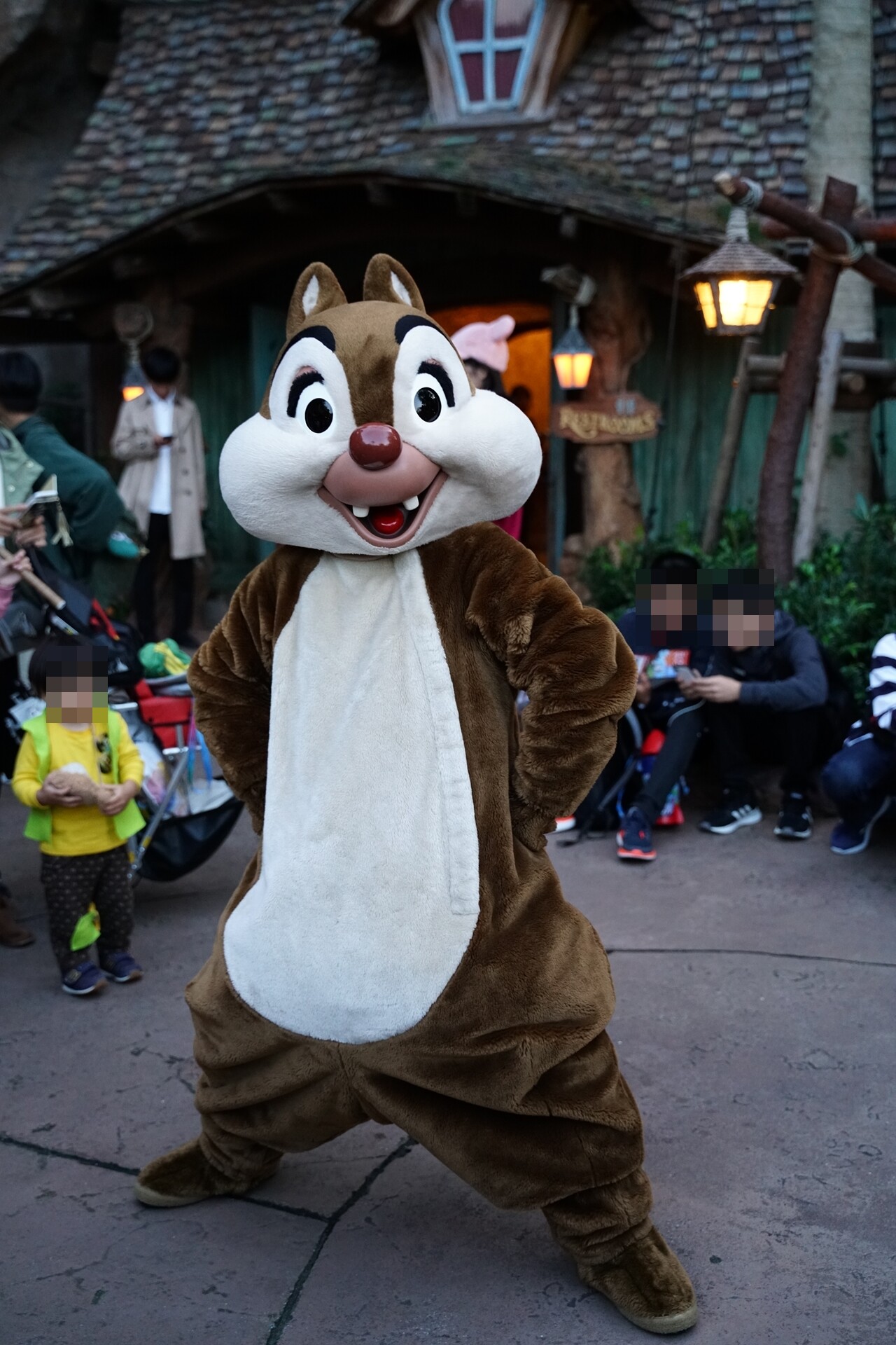 Rabbit In Dawn ディズニー Rabbit In Dawn ディズニー