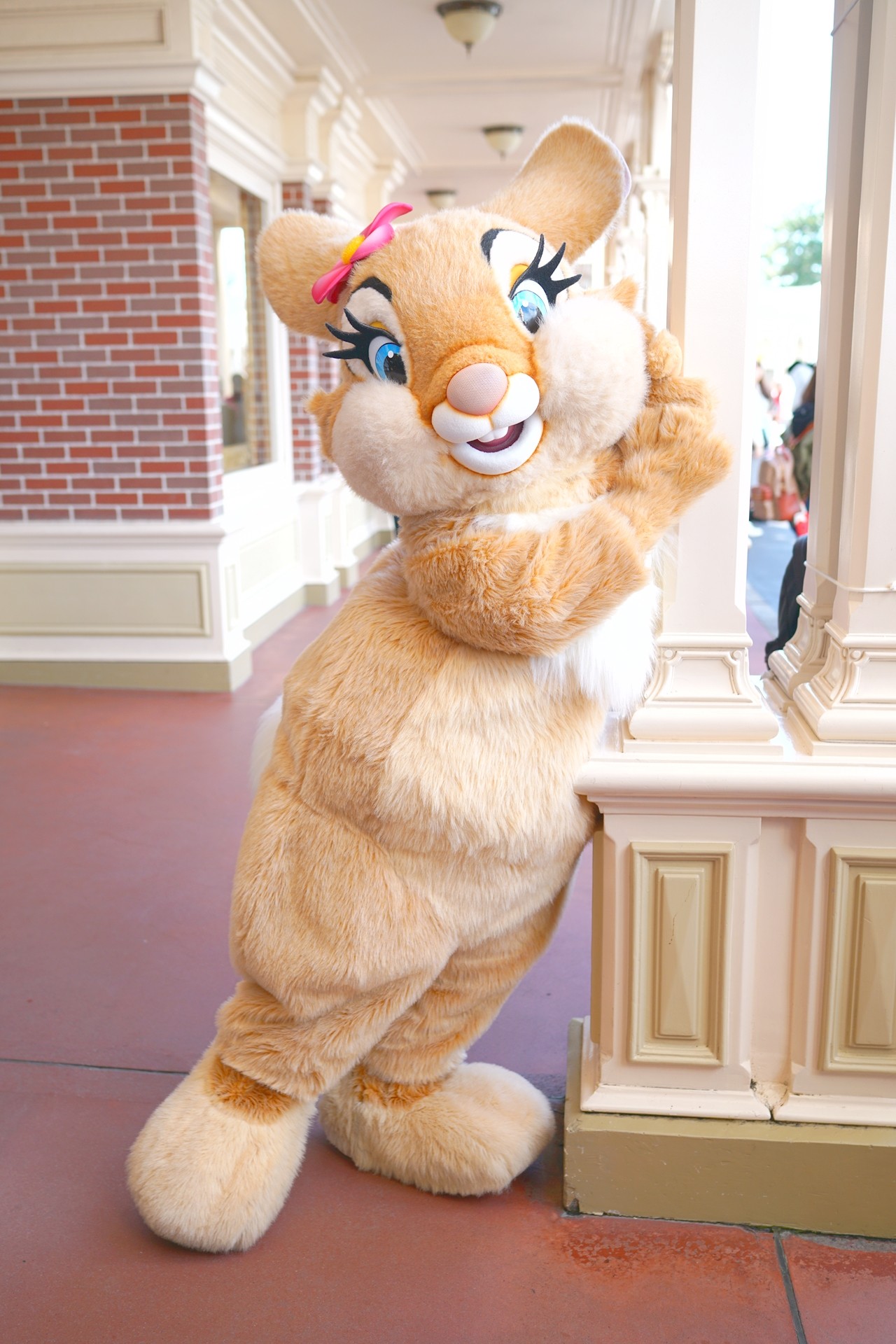 3 11インレポ マイアニは最高 Rabbit In Dawn 3 11インレポ マイアニは最高 Rabbit In Dawn