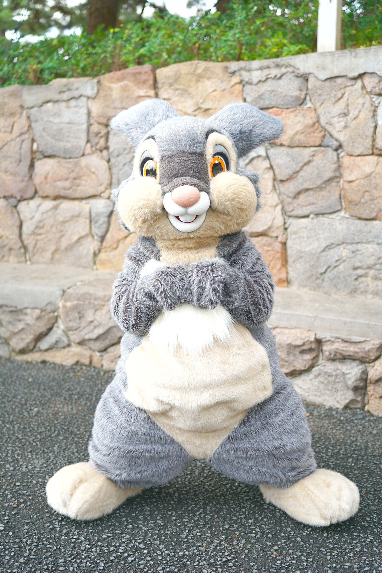 千葉に泊まらないという選択肢 Rabbit In Dawn
