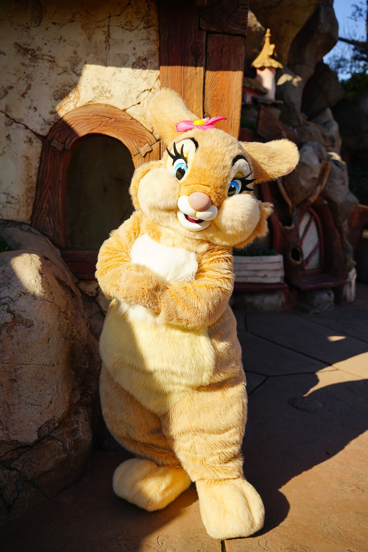 3月3日はうさぎの日 : rabbit in dawn