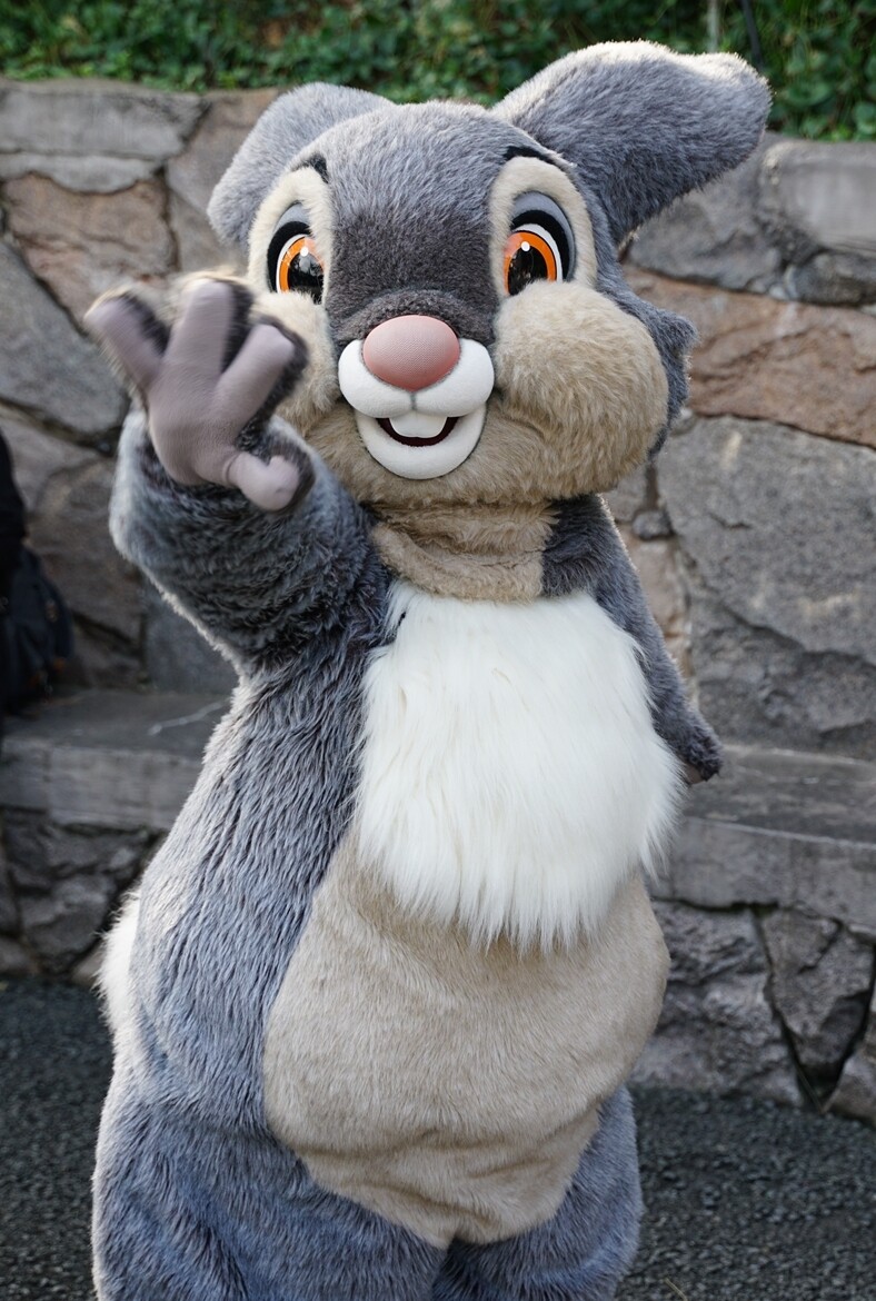 Rabbit In Dawn ディズニー Rabbit In Dawn ディズニー