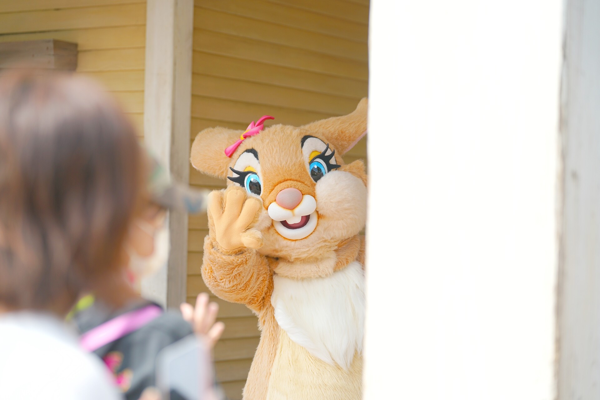 お盆は空いてる Rabbit In Dawn