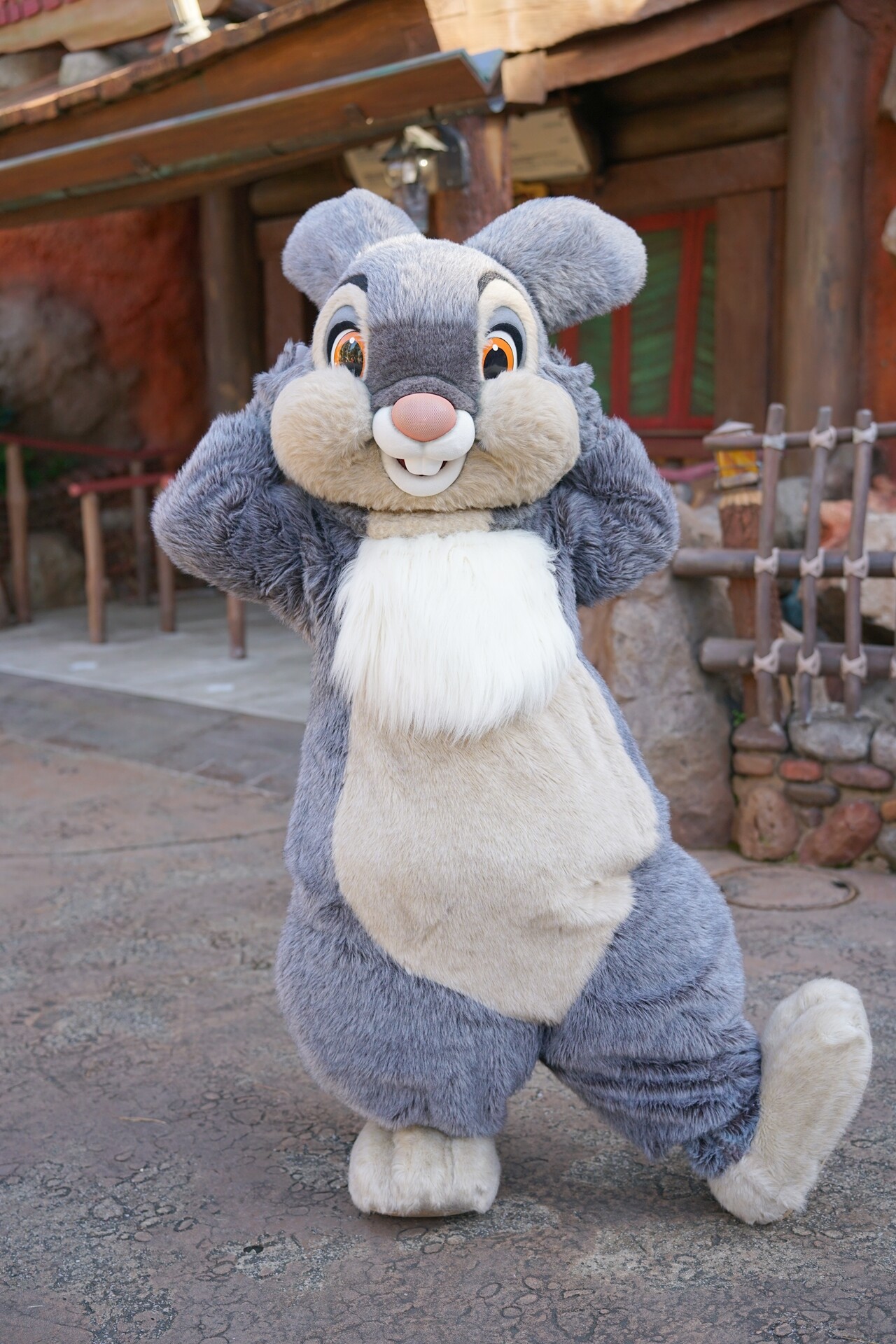 3月3日はうさぎの日 : rabbit in dawn