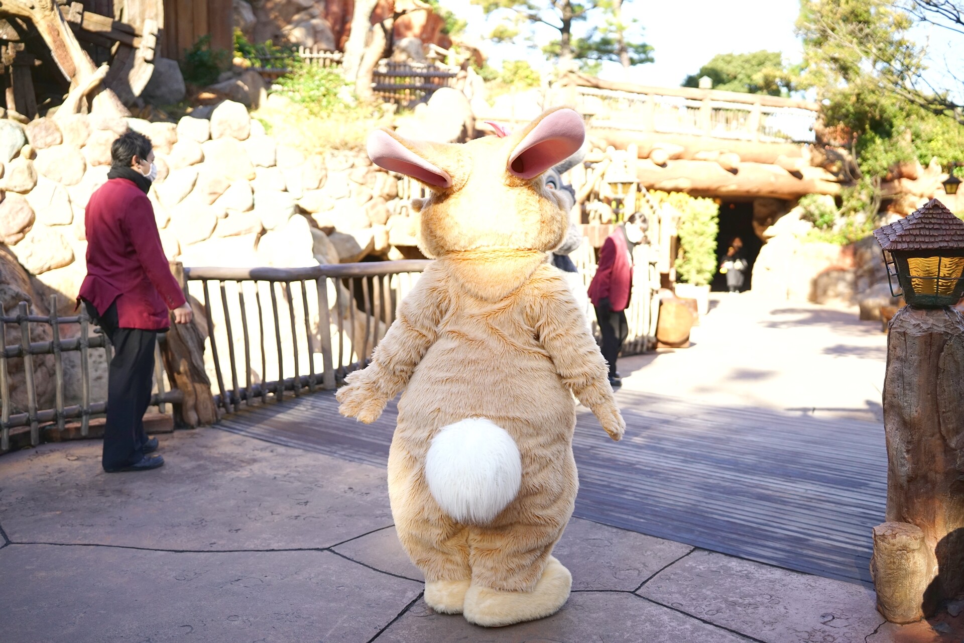3月3日はうさぎの日 : rabbit in dawn
