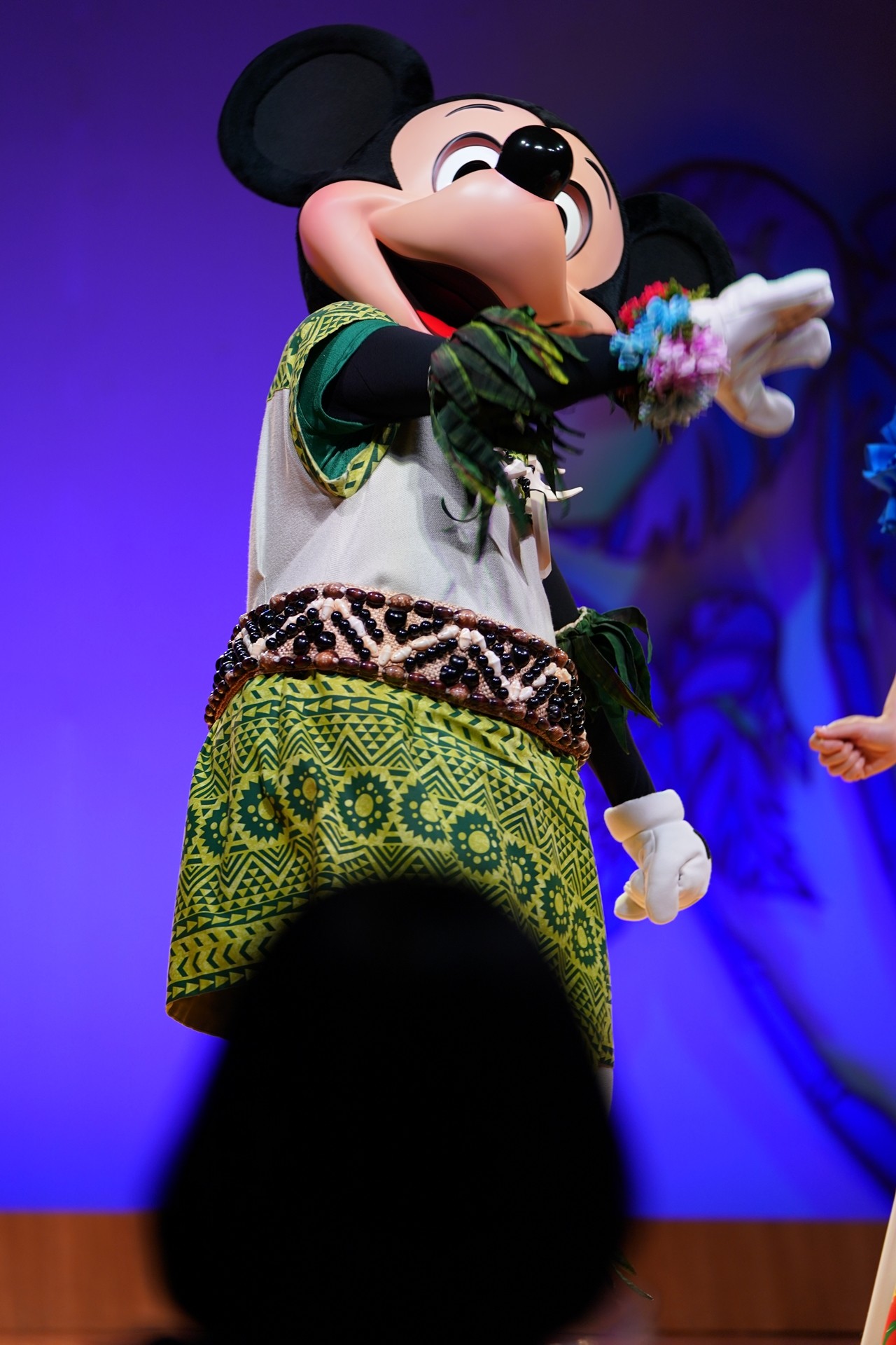 ディズニーの露出が増える Rabbit In Dawn